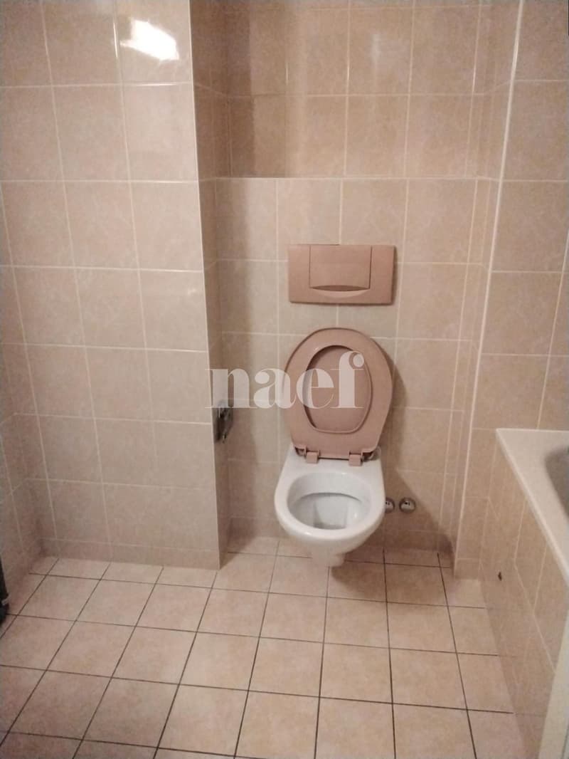 Appartement de 3 pièces dans le quartier de Saint-Jean/Charmilles (9)