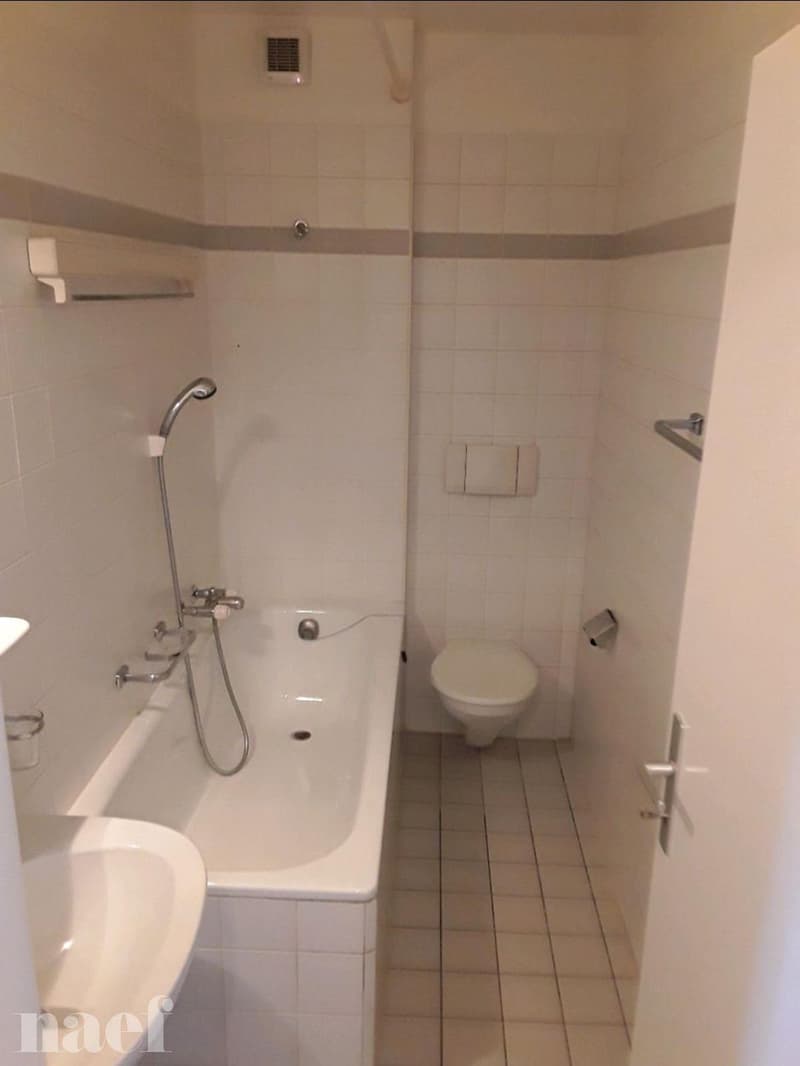 Appartement de 3 pièces à Veyrier (8)
