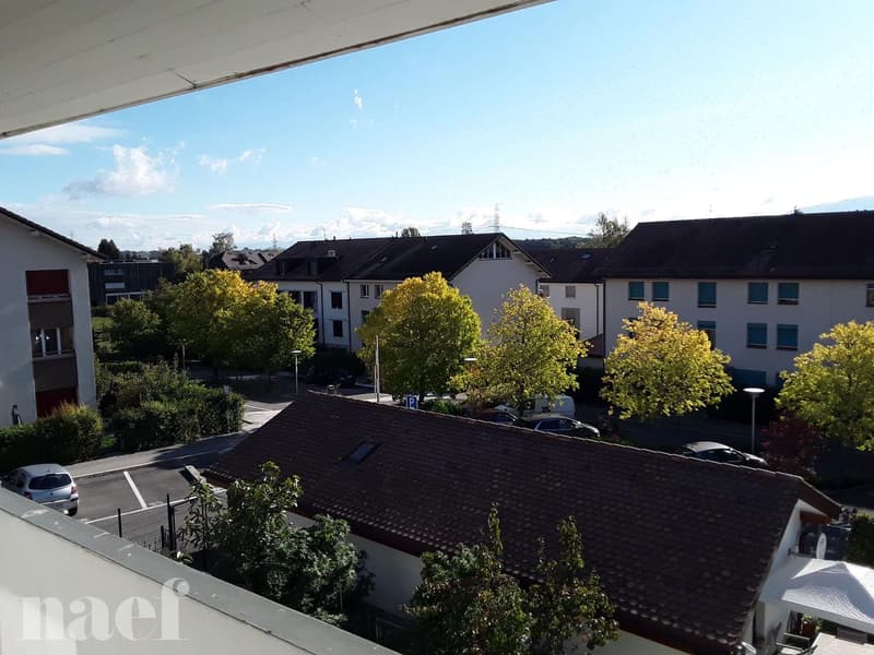 Appartement de 1 pièce au 2ème étage à Satigny (3)