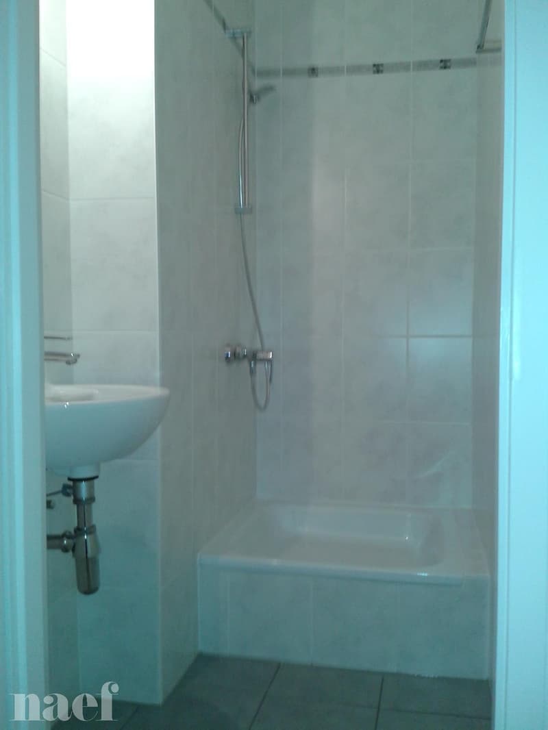 Appartement de 5 pièces dans le quartier de Versoix (4)