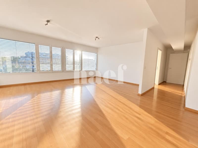 Duplex de 6 pièces avec deux terrasses  Dernier étage, Versoix (5)