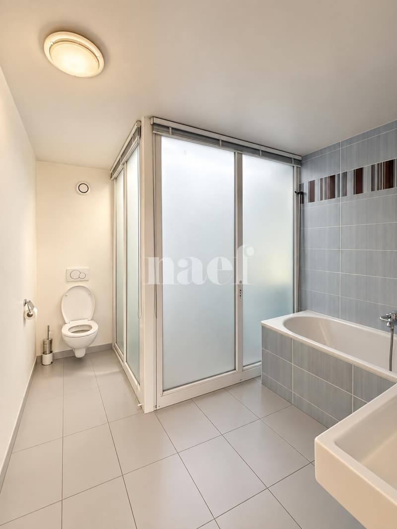 Duplex de 6 pièces avec deux terrasses  Dernier étage, Versoix (13)