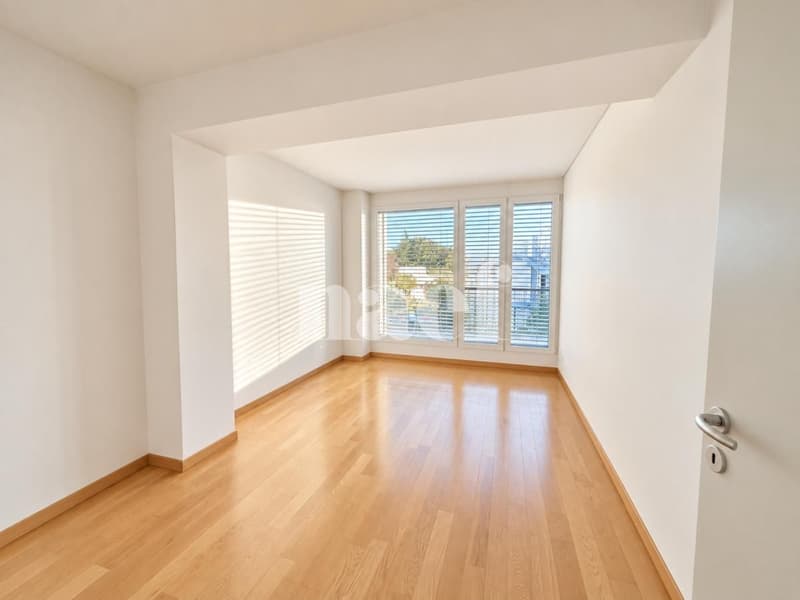 Duplex de 6 pièces avec deux terrasses  Dernier étage, Versoix (7)