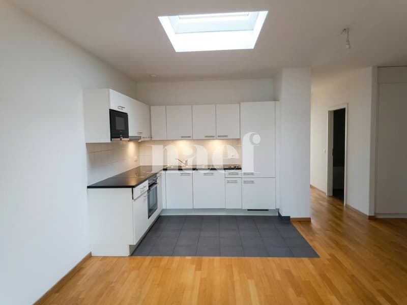Spacieux appartement de 5 pièces proche de la gare de Genève (2)