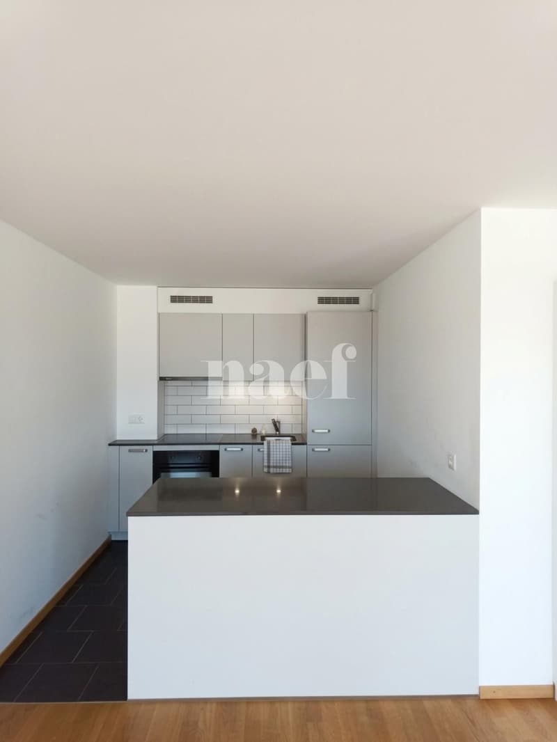 Appartement avec vue sur le jet d'eau (3)