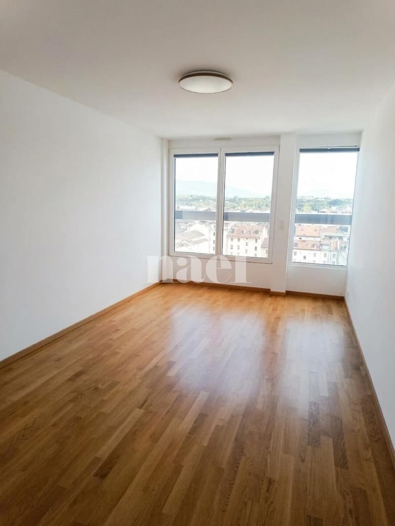Appartement avec vue sur le jet d'eau (4)
