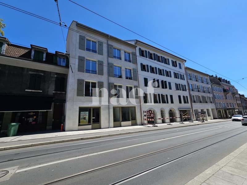 Bel appartement lumineux de 4 pièces à Chêne-Bougeries (1)