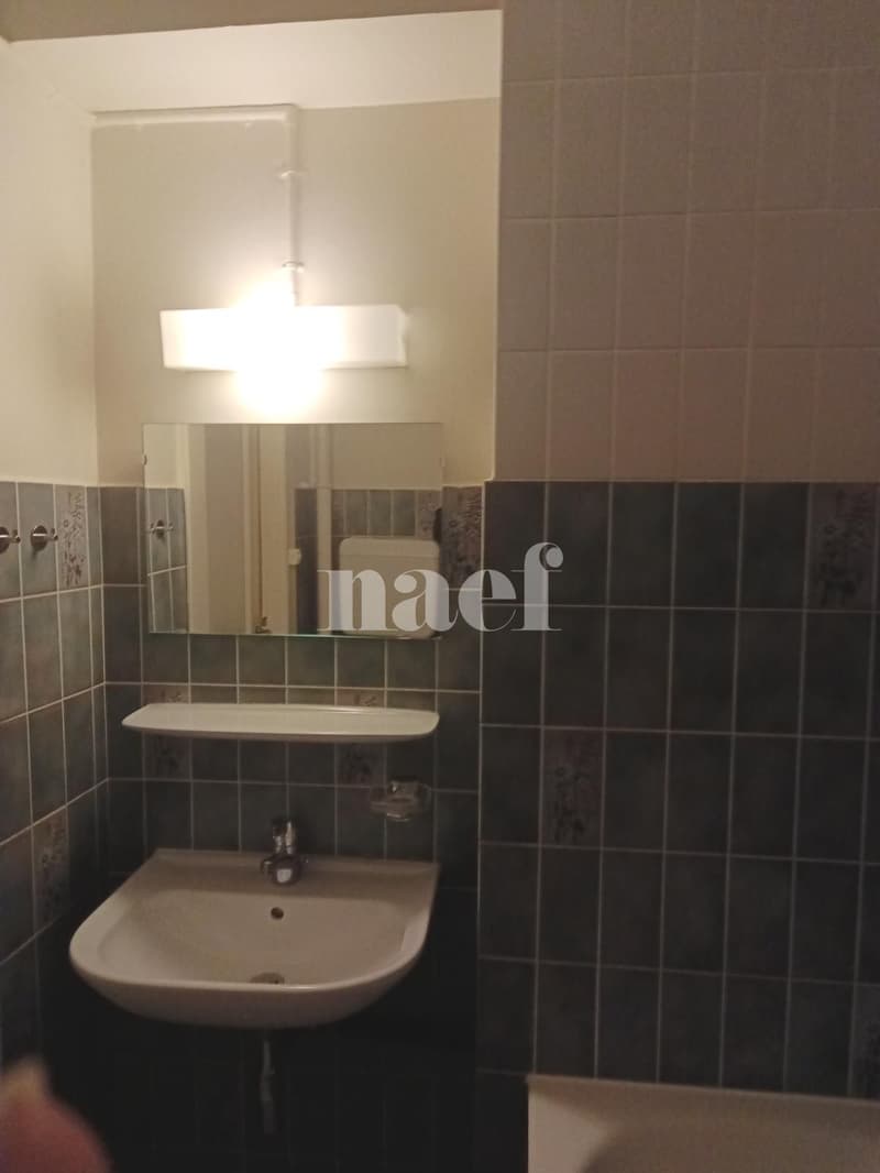 Appartement de 2 pièces au 3ème étage, proche des Hôpitaux Universitaires de Genève (10)