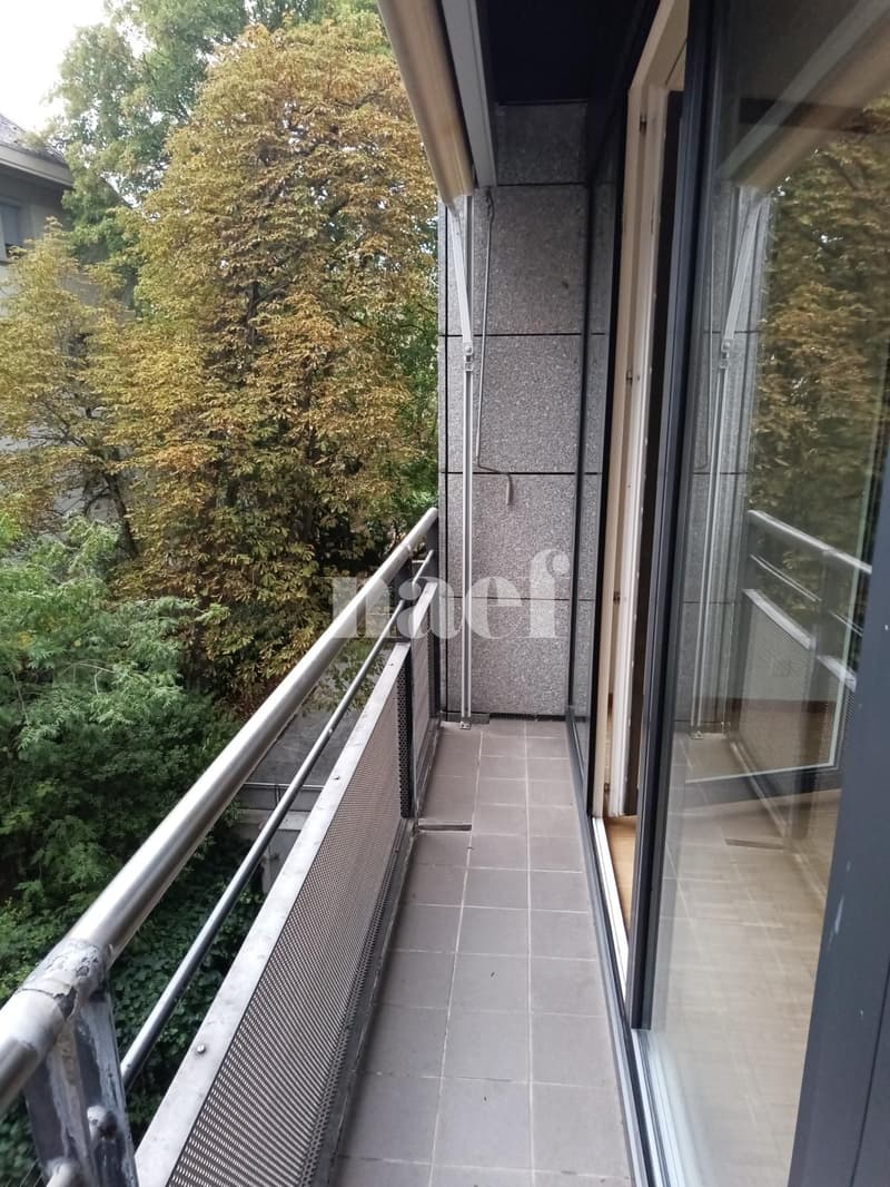 Appartement à proximité de la gare des Eaux-Vives (8)