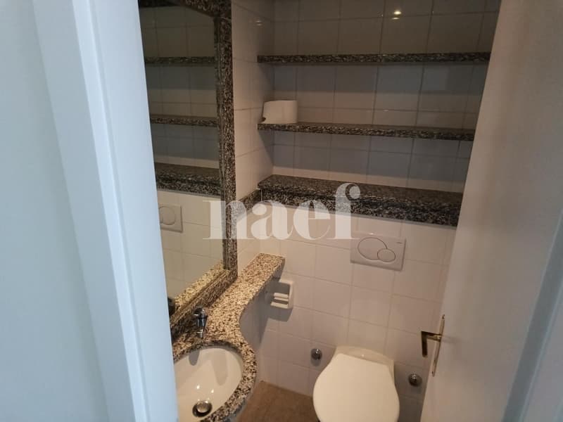 Appartement avec grande terrasse à Champel (9)