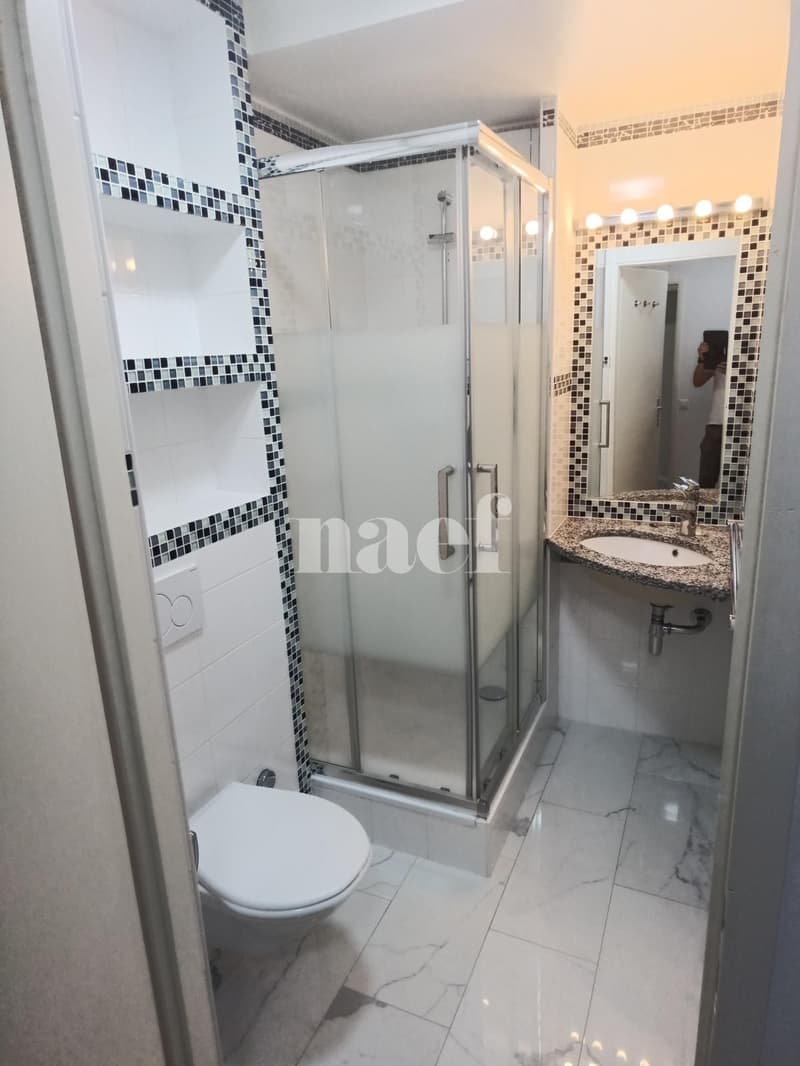 Appartement 4 pièces proche du parc Bertrand (7)