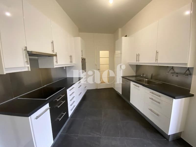 Spacieux et lumineux appartement en plein cur de Genève (2)