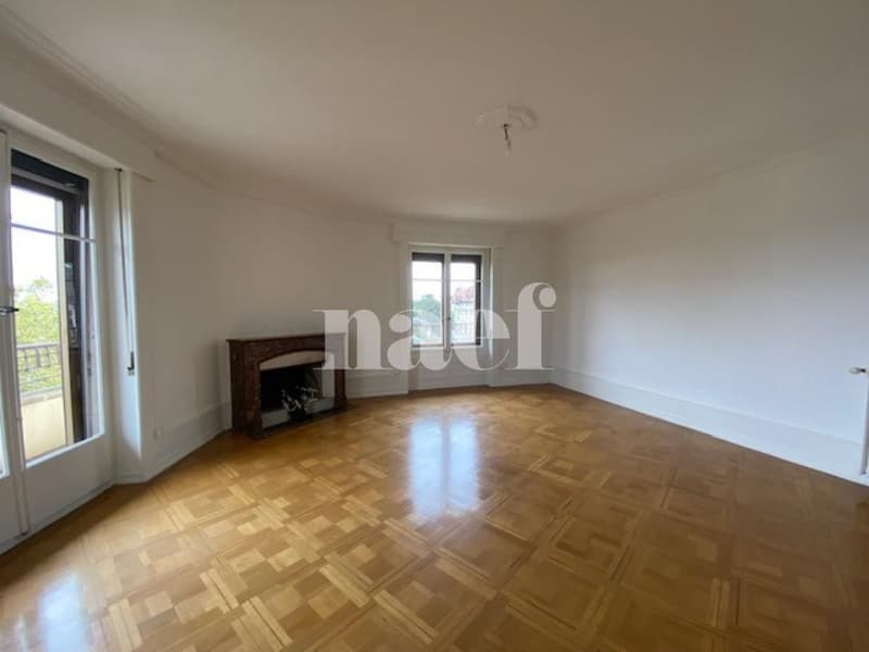Spacieux et lumineux appartement en plein cur de Genève (3)