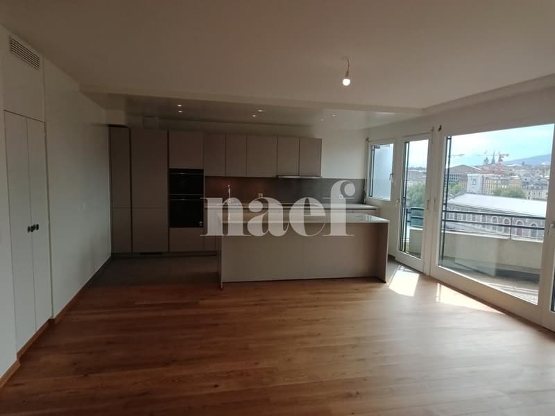 Bel appartement rénové (4)