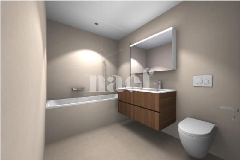 Appartement entièrement rénové situé entre Grange-Canal et les Eaux-Vives (3)
