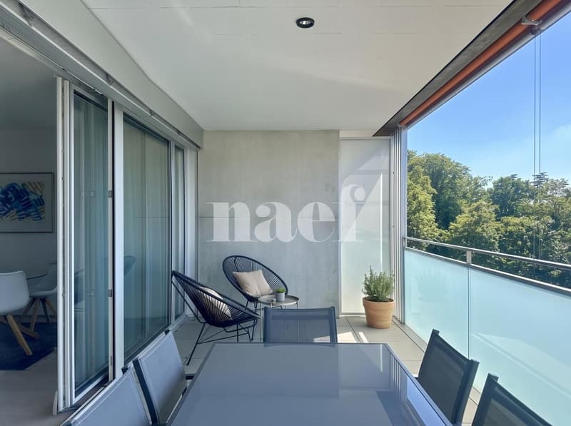 Appartement 4 pièces à louer à Carouge Lumineux et traversant avec terrasse, balcon et box (5)