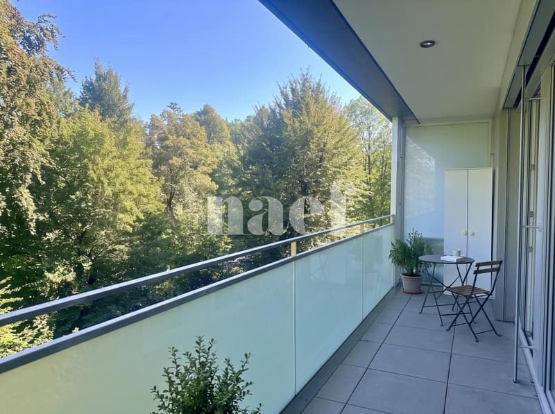 Appartement 4 pièces à louer à Carouge Lumineux et traversant avec terrasse, balcon et box (10)