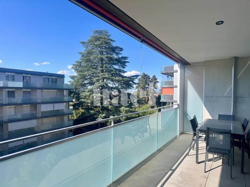 Appartement 4 pièces à louer à Carouge Lumineux et traversant avec terrasse, balcon et box (4)