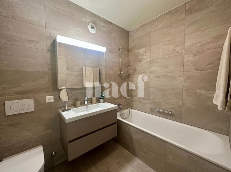 Appartement 4 pièces à louer à Carouge Lumineux et traversant avec terrasse, balcon et box (8)