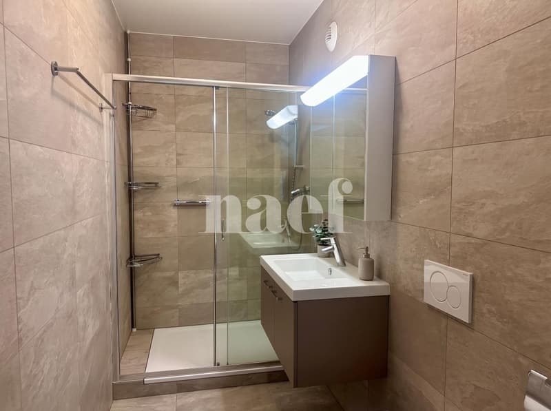 Appartement 4 pièces à louer à Carouge Lumineux et traversant avec terrasse, balcon et box (11)