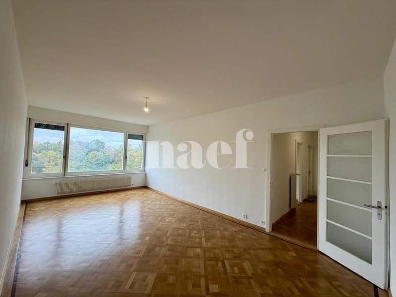 Appartement de 3 pièces entièrement rénové (4)