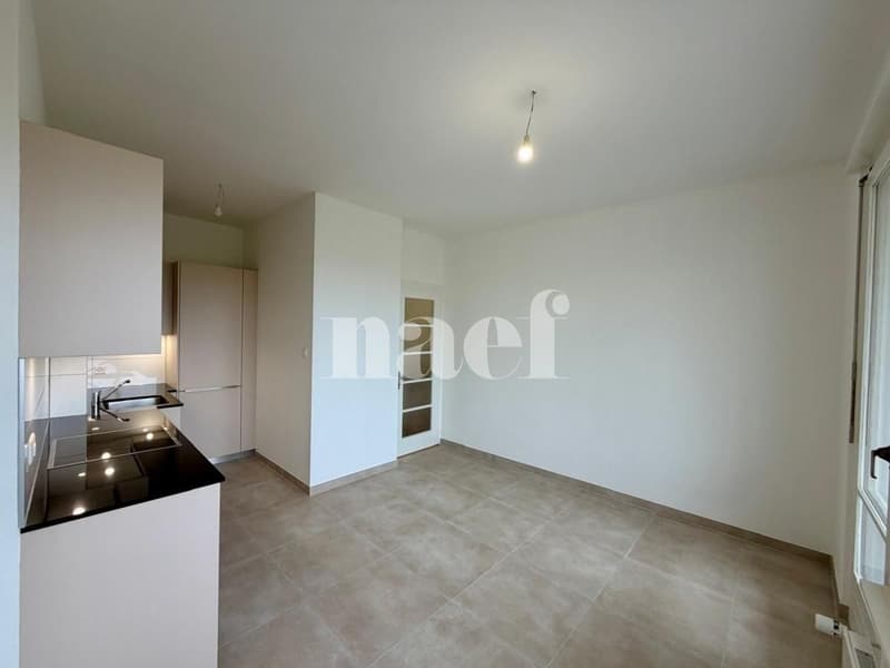 Appartement de 3 pièces entièrement rénové (3)