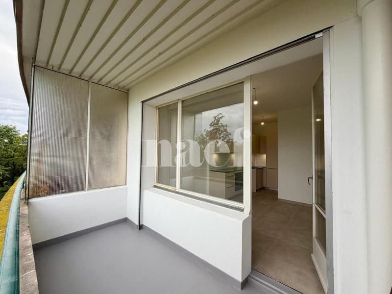 Appartement de 3 pièces entièrement rénové (8)