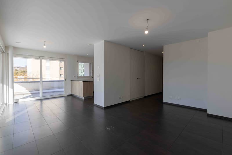 BEL APPARTEMENT 3.5 PCES AU CALME (2)