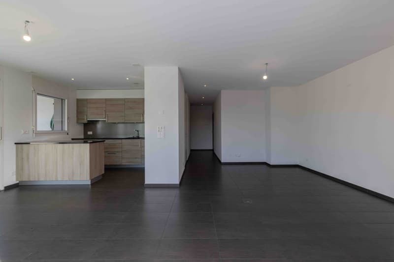 BEL APPARTEMENT 3.5 PCES AU CALME (4)