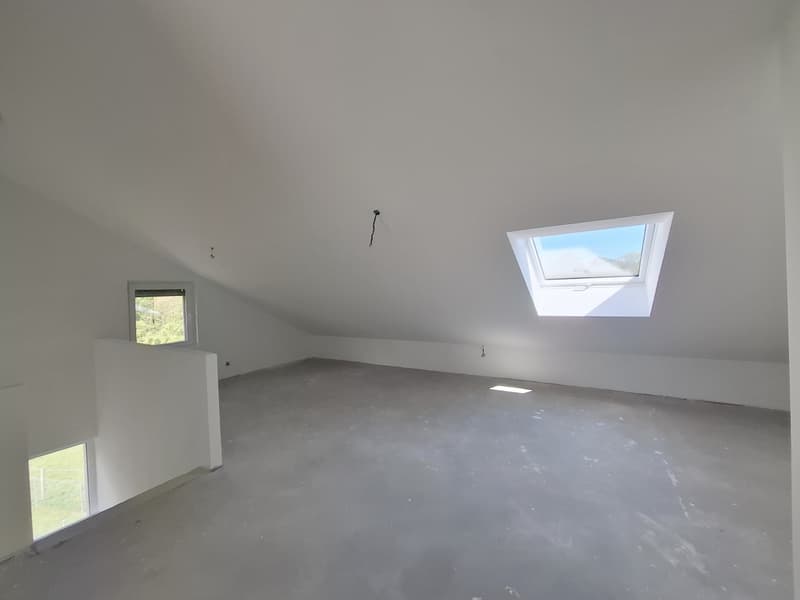 Superbe villa familiale neuve aux portes de Lausanne - prix très attractif ! (12)