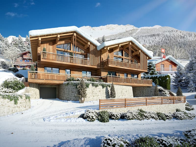 NOUVELLE PROMOTION CHALETS GEMINI 1308 (8)