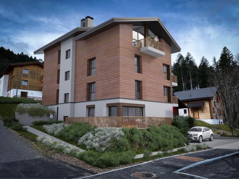 LE CHANTIER EST EN COURS  - SPLENDIDE LOGEMENT AUX PACCOTS (3)