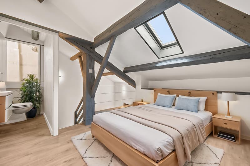 DUPLEX DE CHARME ENTIÈREMENT RÉNOVÉ (4)
