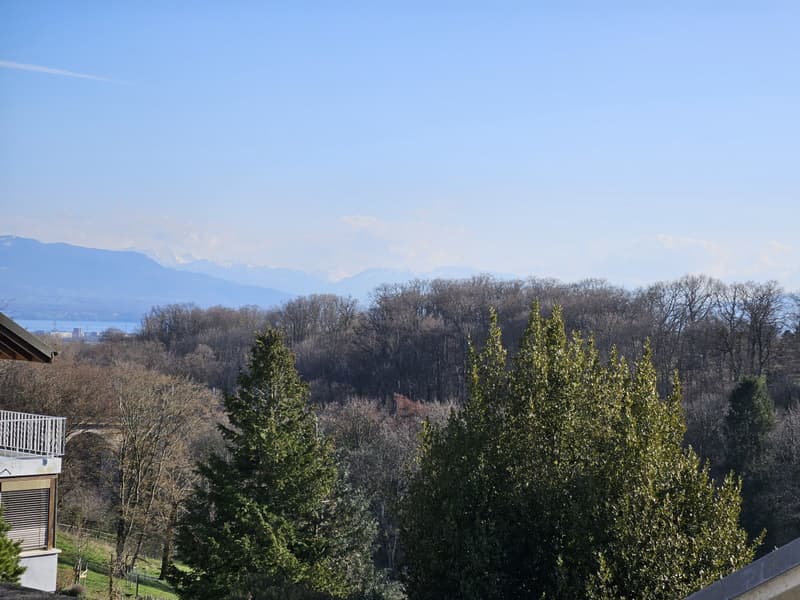 PROXIMITÉ IMMÉDIATE DE NYON (4)