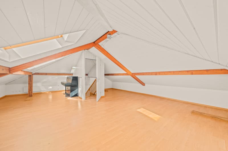Élégance intemporelle et art de vivre privilégié à Lausanne (5)