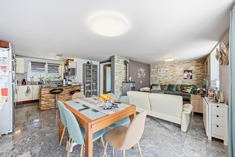 MAISON FAMILIALE AU CALME AVEC GRAND JARDIN (3)