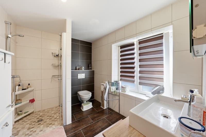 MAISON FAMILIALE AU CALME AVEC GRAND JARDIN (7)