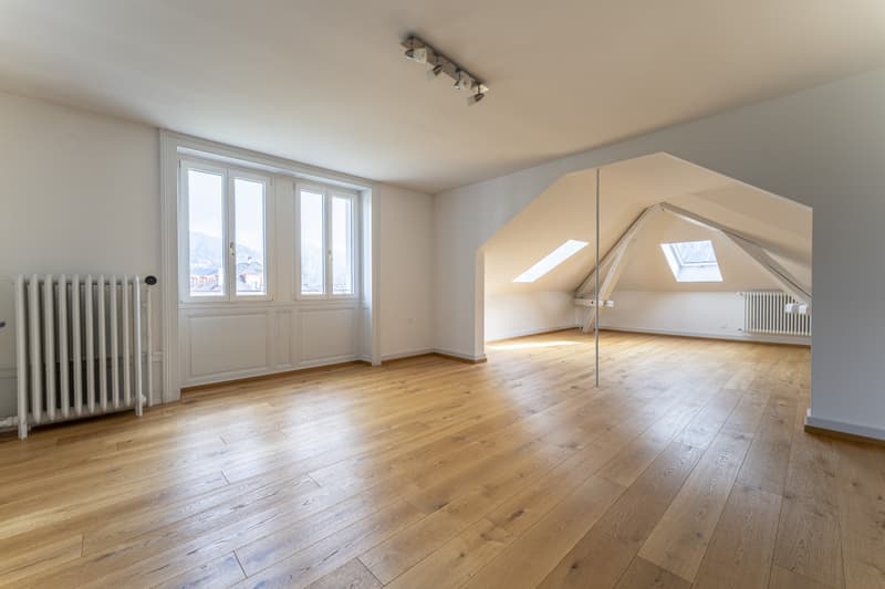 PERLE RARE AU COEUR DE VEVEY DANS UNE MAISON DE MAÎTRE (3)