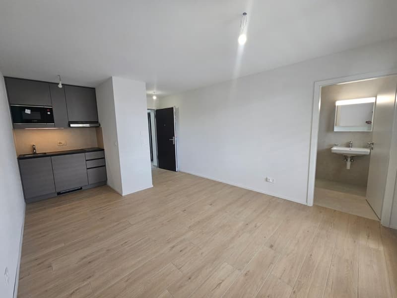 DERNIER STUDIO AU REZ-DE-JARDIN ! (2)