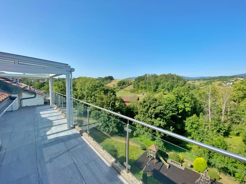APPARTEMENT ATTIQUE AVEC TERRASSE IDEALEMENT SITUE A ORBE ! (1)
