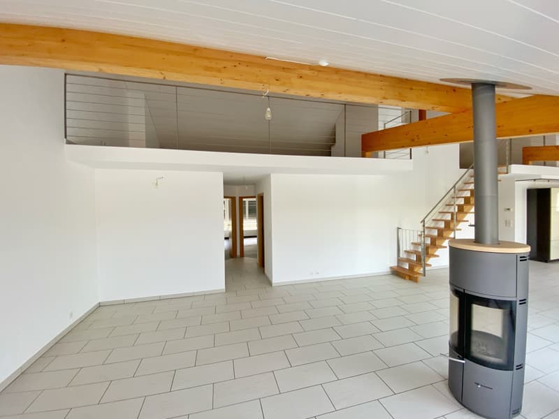 APPARTEMENT ATTIQUE AVEC TERRASSE IDEALEMENT SITUE A ORBE ! (7)