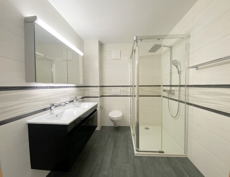 APPARTEMENT ATTIQUE AVEC TERRASSE IDEALEMENT SITUE A ORBE ! (8)