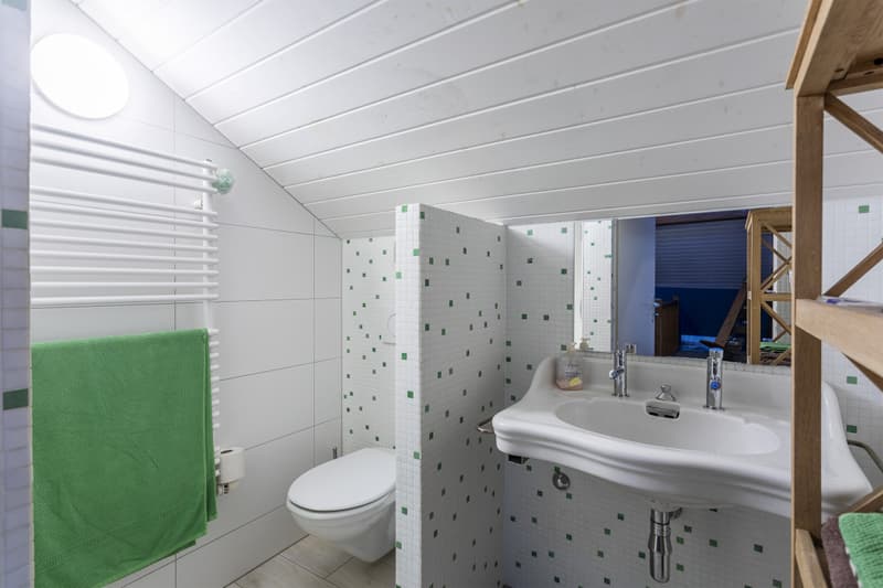 MAISON LOCATIVE (OU D'HABITATION) PARFAITEMENT SITUEE A CHAMPAGNE ! (10)