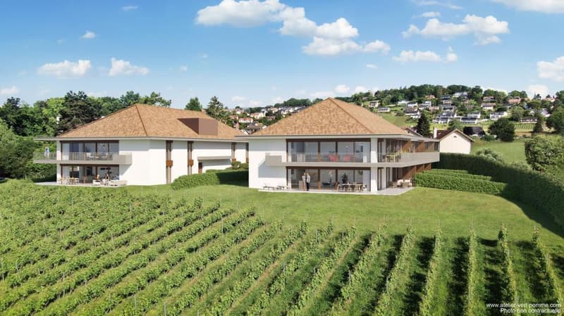 RARE APPARTEMENT NEUF À YENS (3)