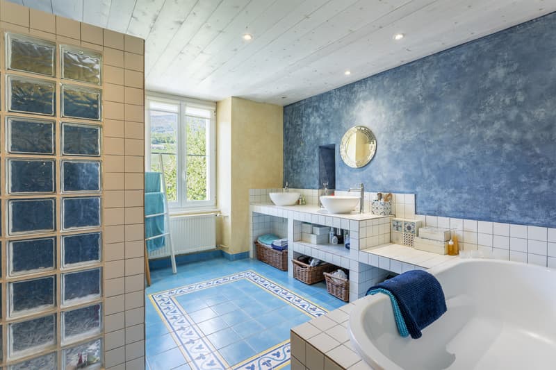 MAISON D'HABITATION A CHAMPAGNE ! (6)