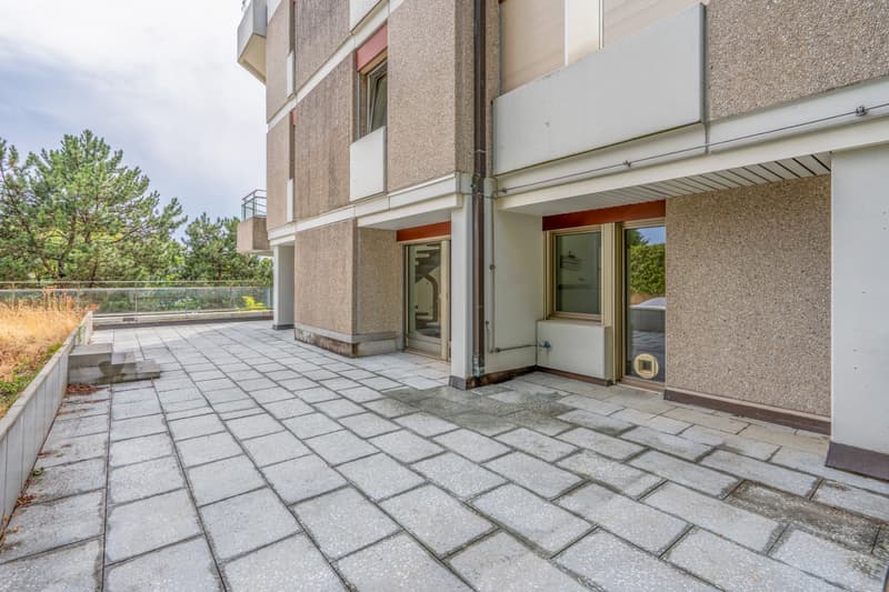 Duplex d'exception avec terrasse et jardin au coeur de Lausanne (2)