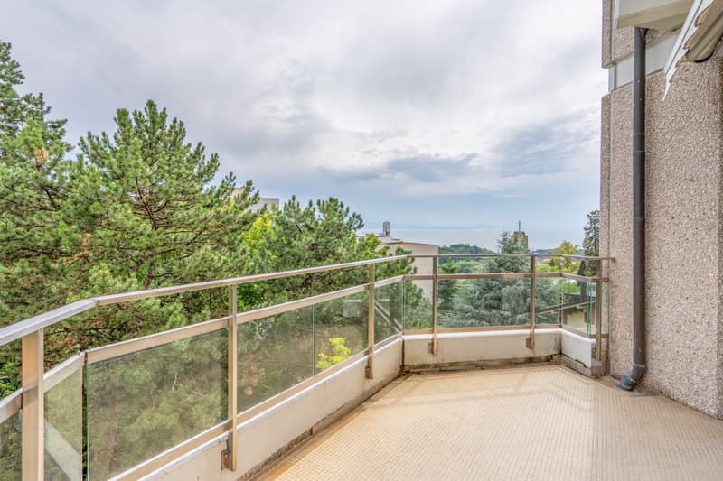 Duplex d'exception avec terrasse et jardin au coeur de Lausanne (9)