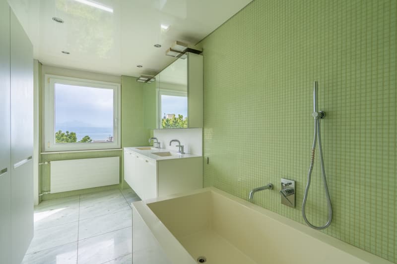 Duplex d'exception avec terrasse et jardin au coeur de Lausanne (7)