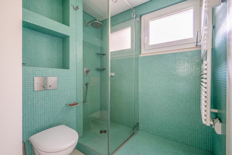 Duplex d'exception avec terrasse et jardin au coeur de Lausanne (11)