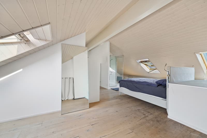 UN DUPLEX D'EXCEPTION AU COEUR DE GLAND (7)